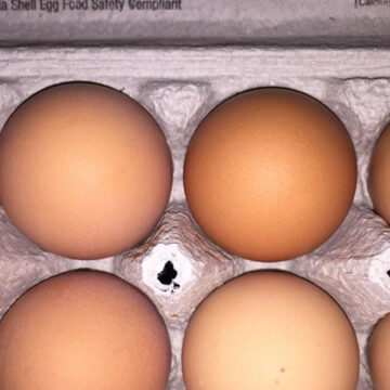 Kansas bakery shop owner goes from paying $19 for case of eggs to $97: 'It's brutal'